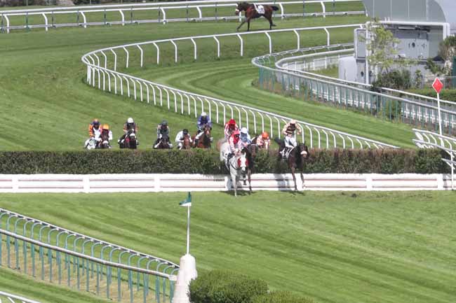 Photo d'arrivée de la course pmu PRIX DU PRESIDENT DE LA REPUBLIQUE à AUTEUIL le Dimanche 21 avril 2024