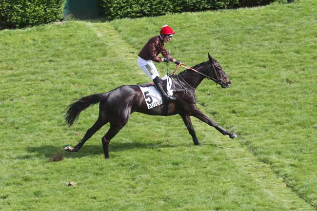 Photo d'arrivée de la course pmu PRIX JEAN STERN à AUTEUIL le Dimanche 21 avril 2024