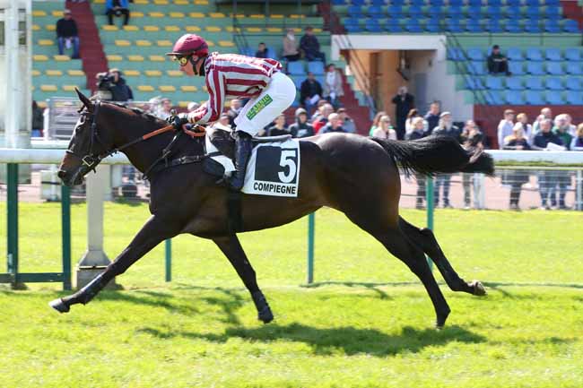 Photo d'arrivée de la course pmu PRIX DU FINISTERE à COMPIEGNE le Mardi 23 avril 2024