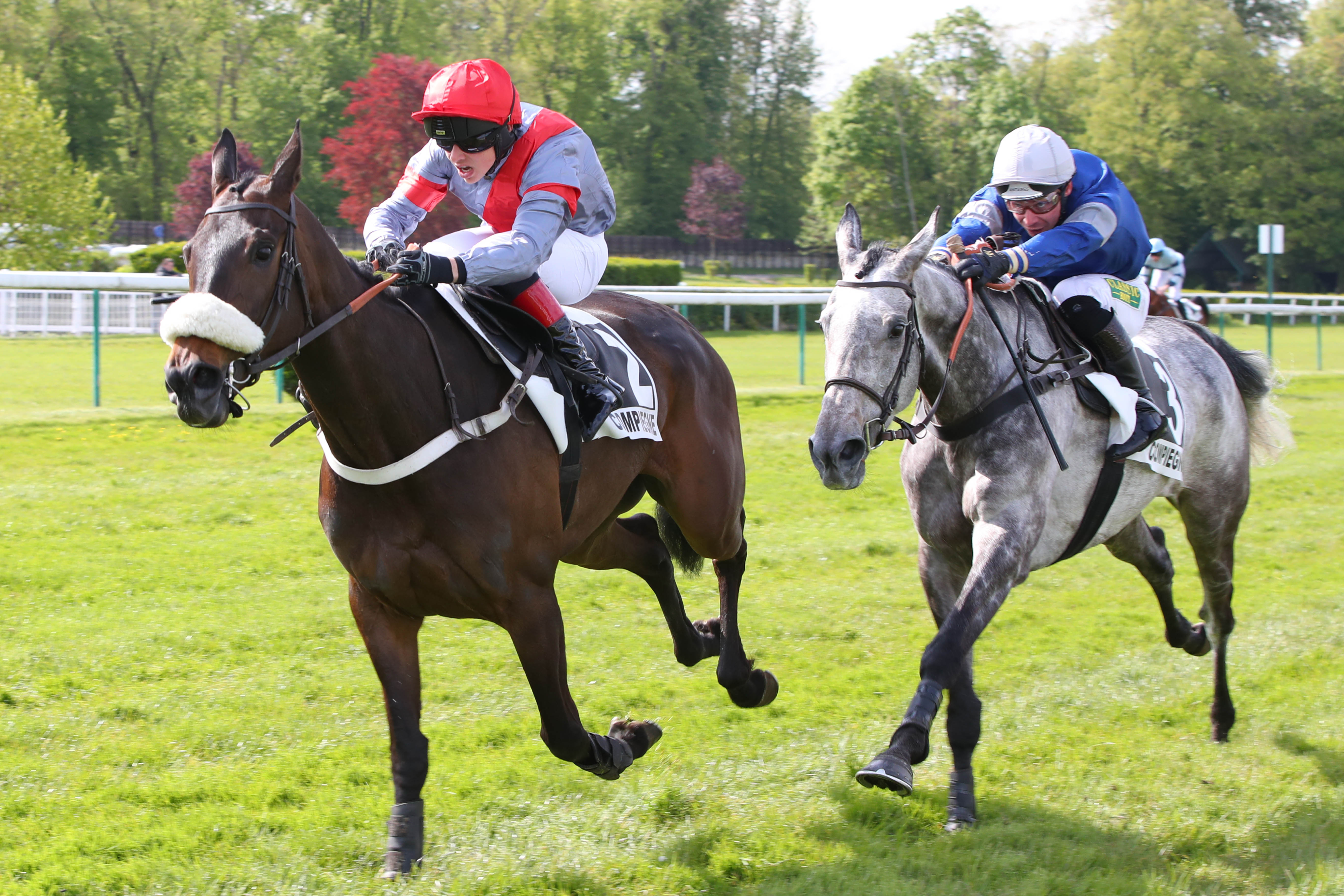 Photo d'arrivée de la course pmu PRIX DU GRAND MARECHAL à COMPIEGNE le Mardi 23 avril 2024