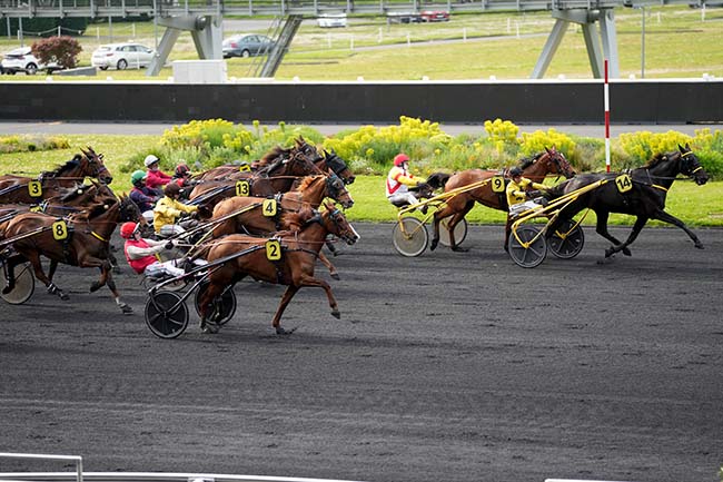 Photo d'arrivée de la course pmu PRIX DE VILLECRESNES à PARIS-VINCENNES le Vendredi 26 avril 2024