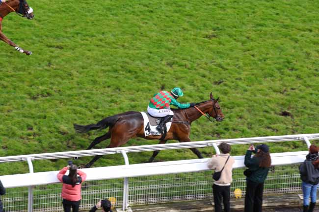 Photo d'arrivée de la course pmu PRIX AMADOU à AUTEUIL le Samedi 27 avril 2024