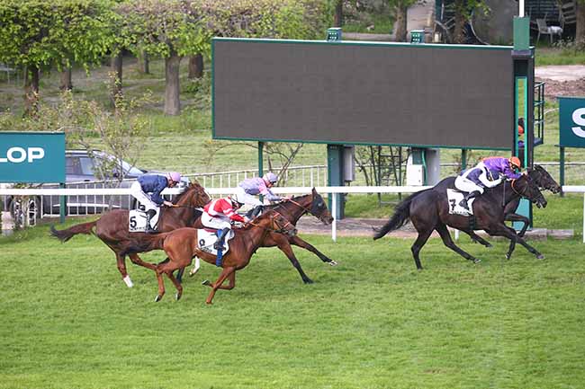 Photo d'arrivée de la course pmu PRIX BIRIBI à SAINT CLOUD le Mercredi 1 mai 2024
