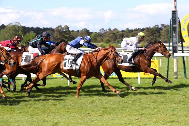 Photo d'arrivée de la course pmu PRIX DE LA SAPINIERE à FONTAINEBLEAU le Vendredi 3 mai 2024