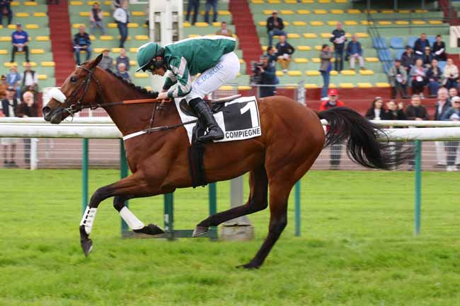 Photo d'arrivée de la course pmu PRIX ROMATI à COMPIEGNE le Mardi 7 mai 2024