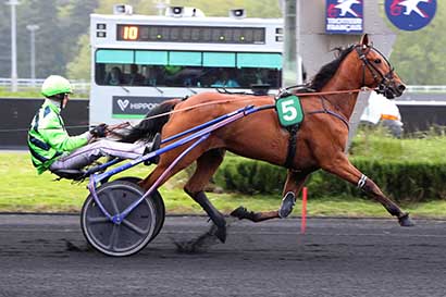 Photo d'arrivée de la course pmu PRIX ANAHITA à PARIS-VINCENNES le Mardi 7 mai 2024