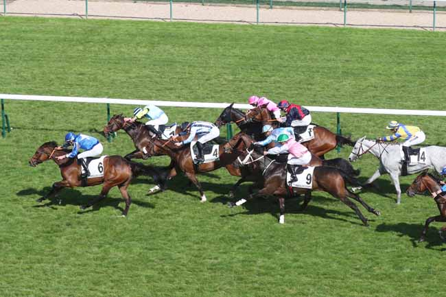 Photo d'arrivée de la course pmu PRIX DU PETIT BOIS à LONGCHAMP le Jeudi 9 mai 2024