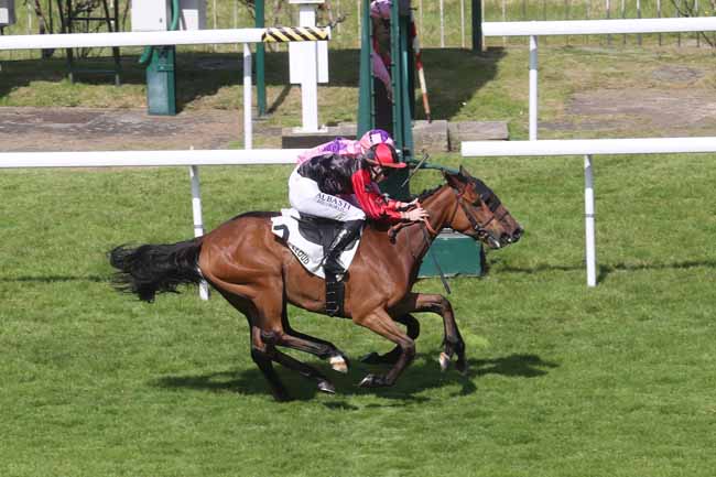 Photo d'arrivée de la course pmu PRIX DE L'ATLANTIQUE à SAINT CLOUD le Vendredi 10 mai 2024