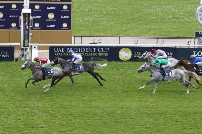 Photo d'arrivée de la course pmu THE PRESIDENT OF THE UAE CUP - COUPE D'EUROPE DES CHEVAUX ARABES à LONGCHAMP le Dimanche 12 mai 2024