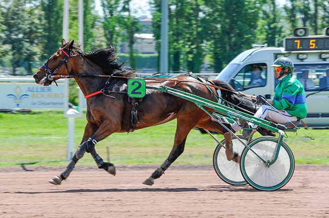 Photo d'arrivée de la course pmu PRIX DE SAINT-DIDIER-LA-FORET à VICHY le Lundi 13 mai 2024