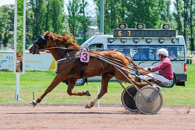 Photo d'arrivée de la course pmu PRIX DU DAUPHINE à VICHY le Lundi 13 mai 2024