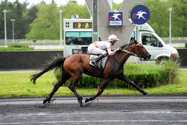 Photo d'arrivée de la course pmu PRIX EMILE NEVEUX à PARIS-VINCENNES le Mardi 14 mai 2024