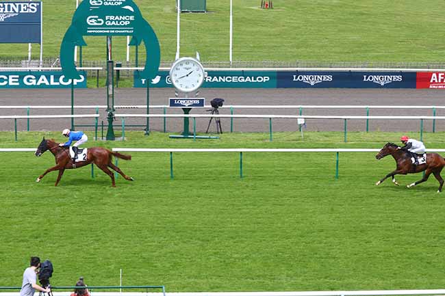 Photo d'arrivée de la course pmu PRIX DU PLESSIS-POMMERAYE à CHANTILLY le Vendredi 17 mai 2024