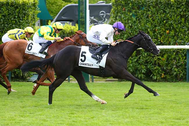 Photo d'arrivée de la course pmu PRIX TEXANITA à CHANTILLY le Vendredi 17 mai 2024