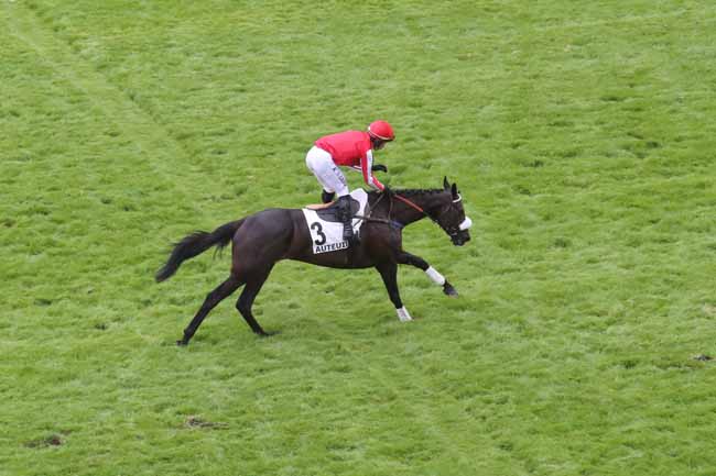 Photo d'arrivée de la course pmu PRIX D'ARLES à AUTEUIL le Samedi 18 mai 2024