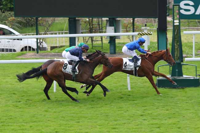 Photo d'arrivée de la course pmu PRIX TIMANDRA à SAINT CLOUD le Lundi 20 mai 2024
