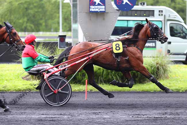 Photo d'arrivée de la course pmu PRIX IAPETUS à PARIS-VINCENNES le Mardi 21 mai 2024