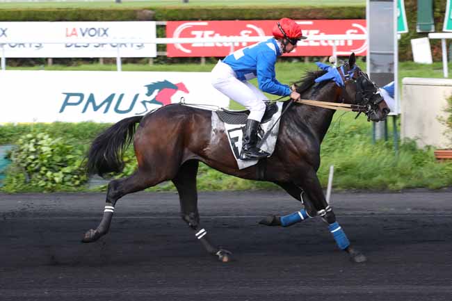 Photo d'arrivée de la course pmu PRIX DES HAUTS-DE-FRANCE à LE CROISE-LAROCHE le Mercredi 22 mai 2024