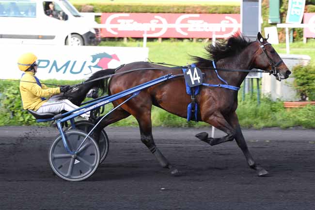 Photo d'arrivée de la course pmu PRIX DE MARCQ-EN-BAROEUL à LE CROISE-LAROCHE le Mercredi 22 mai 2024