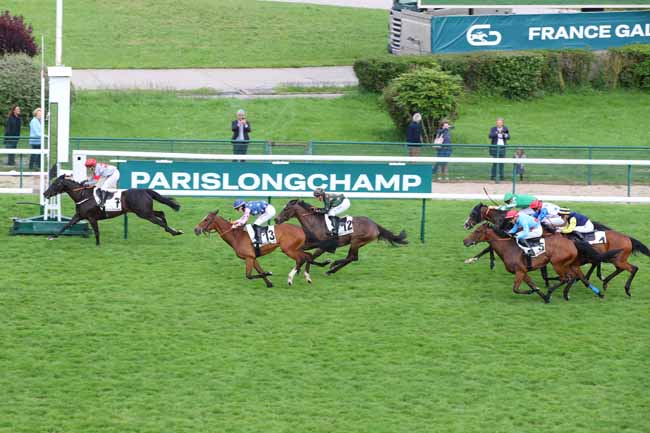 Photo d'arrivée de la course pmu PRIX DE LA RUE DU CHAT-QUI-PECHE à LONGCHAMP le Dimanche 26 mai 2024