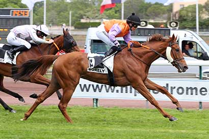 Photo d'arrivée de la course pmu PRIX DE VITROLLES à MARSEILLE BORELY le Lundi 27 mai 2024
