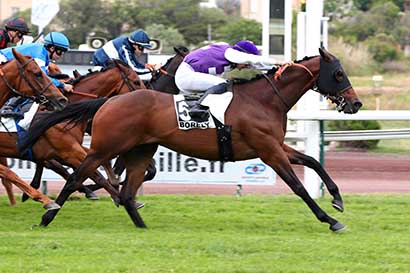 Photo d'arrivée de la course pmu PRIX DU PILON DU ROI à MARSEILLE BORELY le Lundi 27 mai 2024