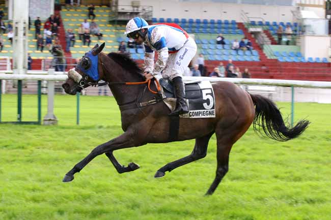 Photo d'arrivée de la course pmu PRIX COLLINS à COMPIEGNE le Lundi 27 mai 2024
