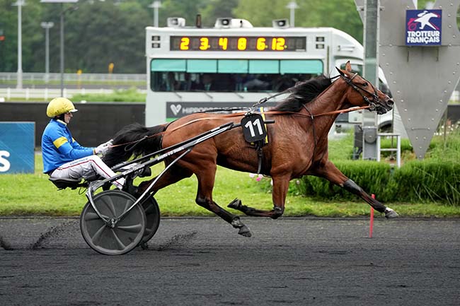 Photo d'arrivée de la course pmu PRIX OZO à PARIS-VINCENNES le Mardi 28 mai 2024