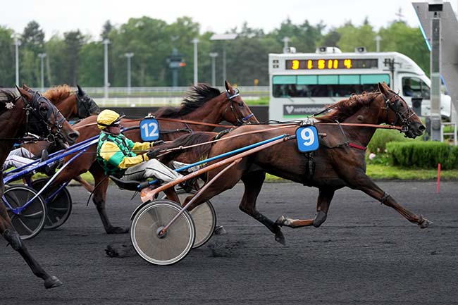 Photo d'arrivée de la course pmu PRIX BUDROSA à PARIS-VINCENNES le Mardi 28 mai 2024