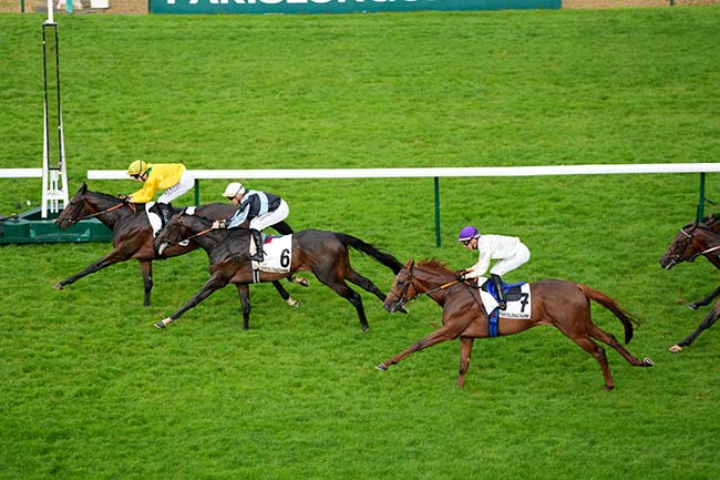 Photo d'arrivée de la course pmu PRIX DU CHATELET à LONGCHAMP le Jeudi 30 mai 2024