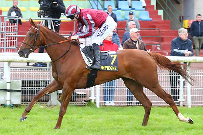 Photo d'arrivée de la course pmu PRIX DE L'AILETTE à COMPIEGNE le Vendredi 31 mai 2024