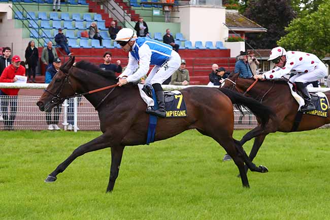 Photo d'arrivée de la course pmu PRIX DE BETHISY SAINT-MARTIN à COMPIEGNE le Vendredi 31 mai 2024