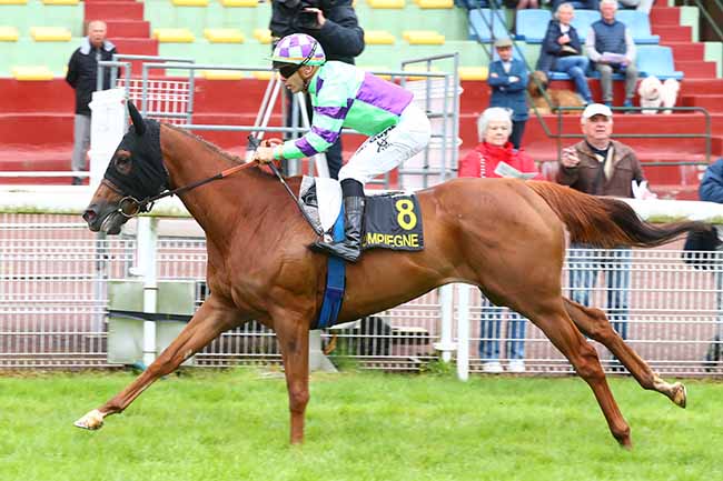 Photo d'arrivée de la course pmu PRIX DE FRANCIERES à COMPIEGNE le Vendredi 31 mai 2024