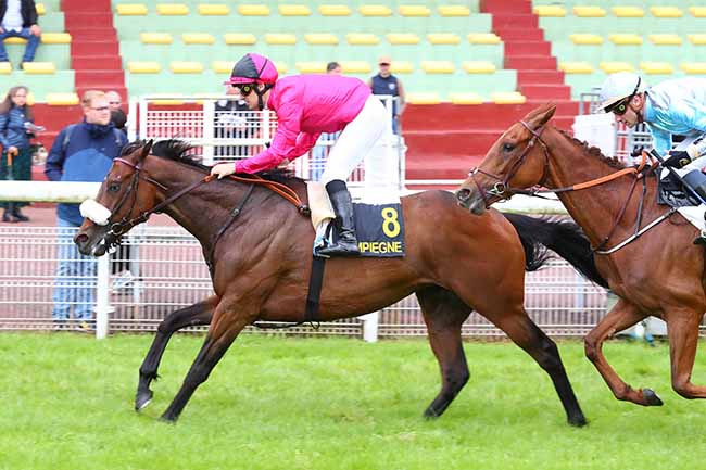 Photo d'arrivée de la course pmu PRIX DE MARGNY-LES-COMPIEGNE à COMPIEGNE le Vendredi 31 mai 2024