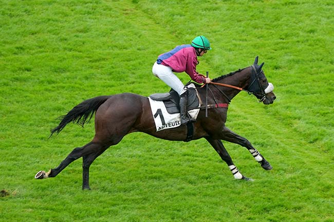 Photo d'arrivée de la course pmu PRIX QUO VADIS à AUTEUIL le Samedi 1 juin 2024