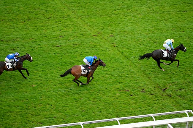Photo d'arrivée de la course pmu PRIX TRINIDAD à AUTEUIL le Samedi 1 juin 2024