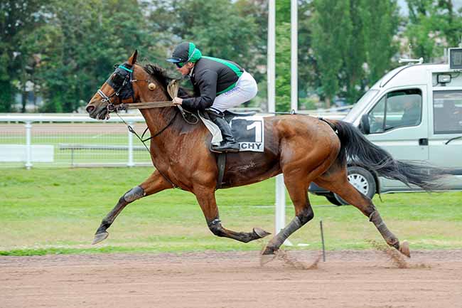 Photo d'arrivée de la course pmu PRIX JEAN TORTEL à VICHY le Lundi 3 juin 2024