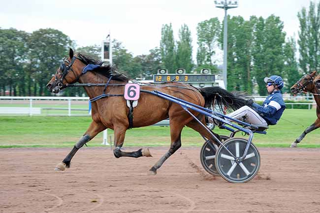 Photo d'arrivée de la course pmu PRIX DU VIVARAIS à VICHY le Lundi 3 juin 2024