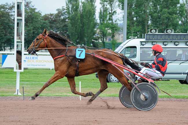 Photo d'arrivée de la course pmu PRIX DE BOURBON L'ARCHAMBAULT à VICHY le Lundi 3 juin 2024