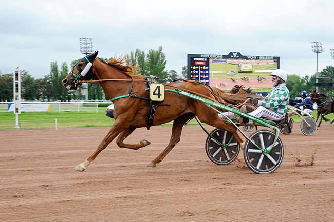 Photo d'arrivée de la course pmu PRIX DE GROSBOIS à VICHY le Lundi 3 juin 2024