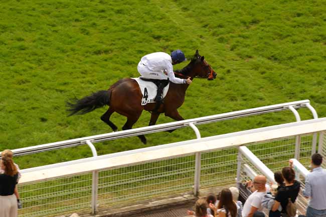 Photo d'arrivée de la course pmu PRIX D'IENA à AUTEUIL le Samedi 8 juin 2024