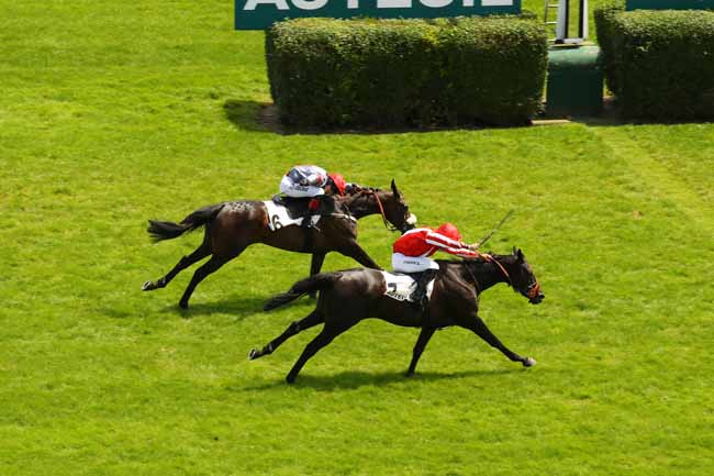 Photo d'arrivée de la course pmu PRIX DES DRAGS à AUTEUIL le Samedi 8 juin 2024