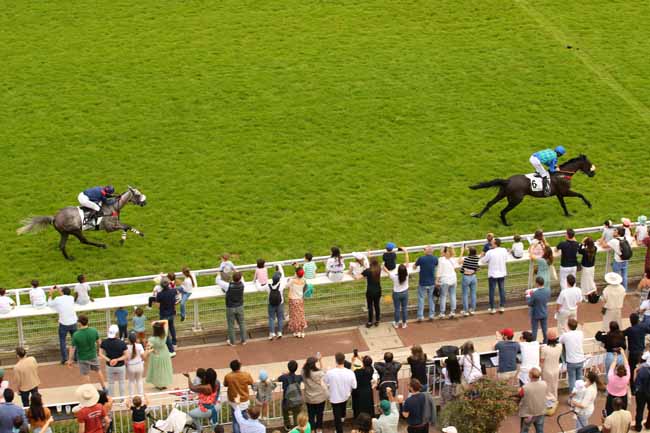 Photo d'arrivée de la course pmu PRIX LA BARKA à AUTEUIL le Samedi 8 juin 2024