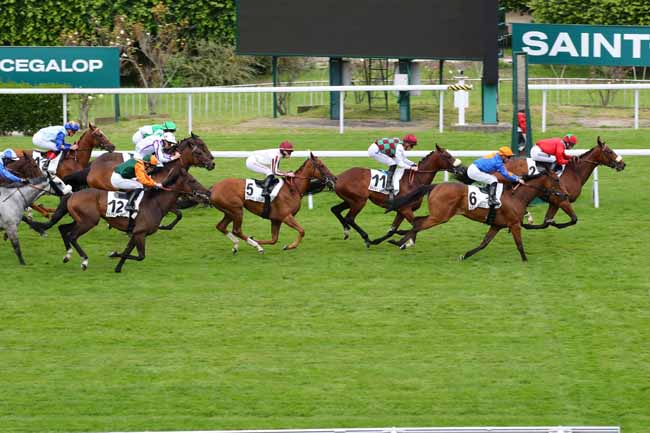 Photo d'arrivée de la course pmu PRIX DE MONTESSON à SAINT CLOUD le Mardi 11 juin 2024