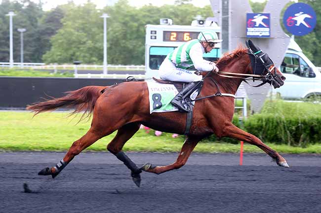 Photo d'arrivée de la course pmu PRIX DE PLOERMEL à PARIS-VINCENNES le Mardi 11 juin 2024