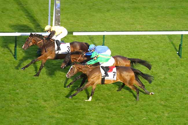Photo d'arrivée de la course pmu PRIX DES AMAZONES - TROPHEE STUDIO HARCOURT à LONGCHAMP le Jeudi 13 juin 2024