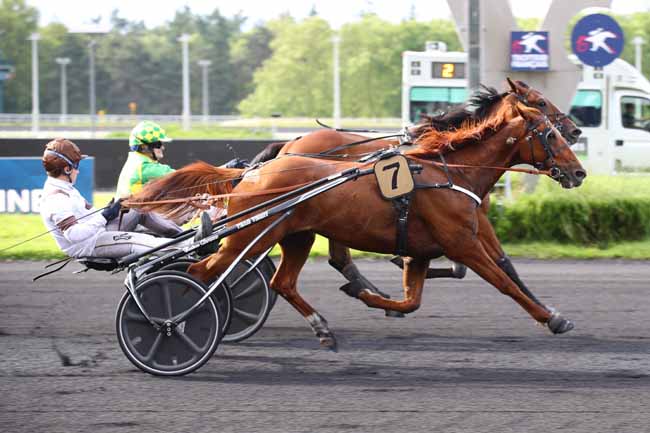 Photo d'arrivée de la course pmu PRIX LOMIA à PARIS-VINCENNES le Vendredi 14 juin 2024