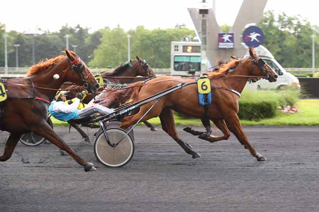 Arrivée quinté pmu PRIX TOLOSA à PARIS-VINCENNES