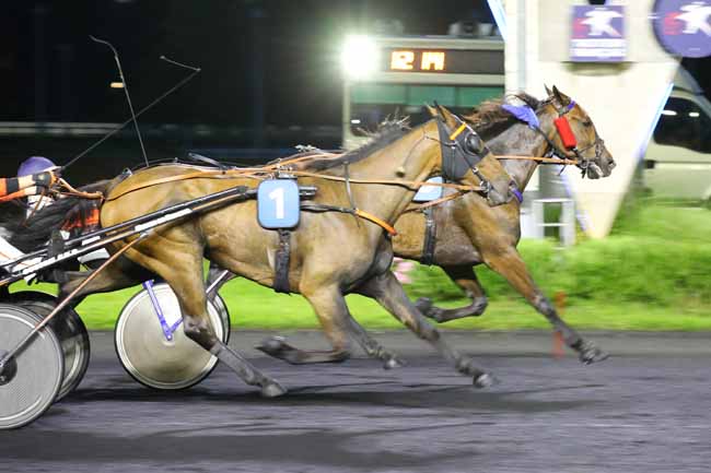 Photo d'arrivée de la course pmu PRIX BILLETS DISCOUNT (PRIX IPHIGENIA) à PARIS-VINCENNES le Vendredi 14 juin 2024