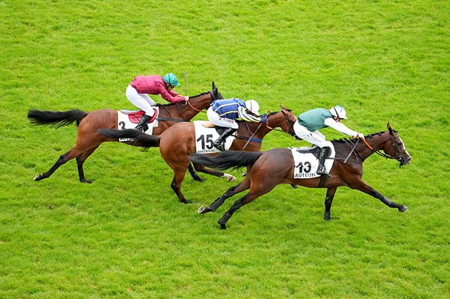 Photo d'arrivée de la course pmu PRIX DE ROYAN à AUTEUIL le Samedi 15 juin 2024
